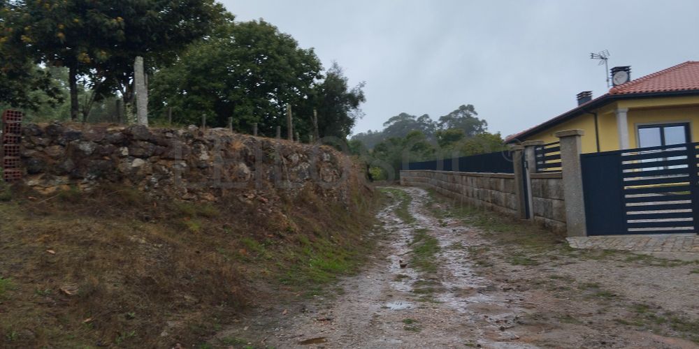 Terreno com 9.200 m² · Tondela (4/5)