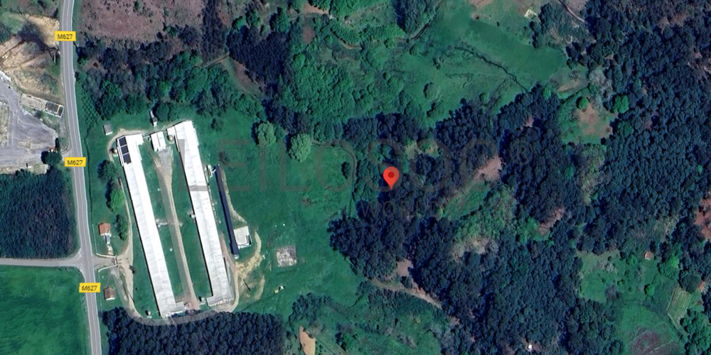 Terreno com 9.200 m² · Tondela (5/5)