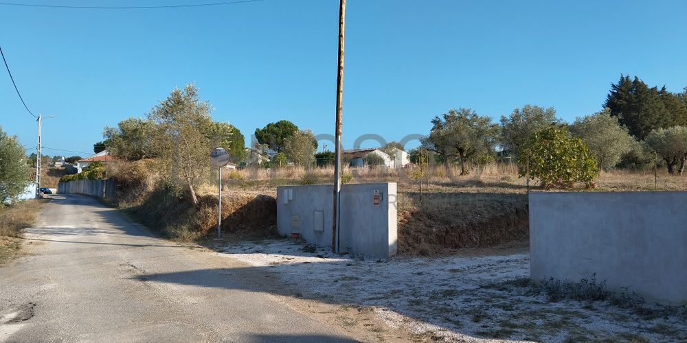 Proporção de 1/3 de Terreno · São Pedro de Tomar, Tomar 5