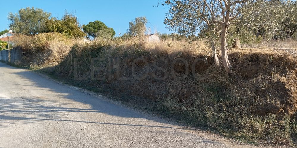 Proporção de 1/3 de Terreno · São Pedro de Tomar, Tomar 3
