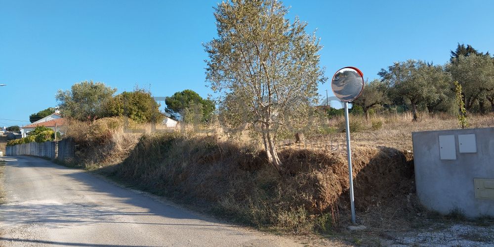 Proporção de 1/3 de Terreno · São Pedro de Tomar, Tomar 4