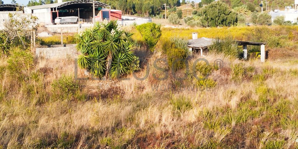 Proporção 1/3 de Terreno · Asseiceira, Tomar 8
