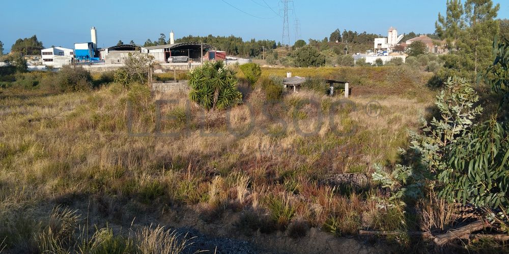 Proporção 1/3 de Terreno · Asseiceira, Tomar 7