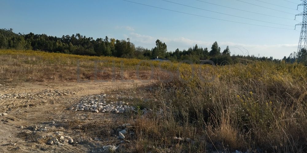 Proporção 1/3 de Terreno · Asseiceira, Tomar