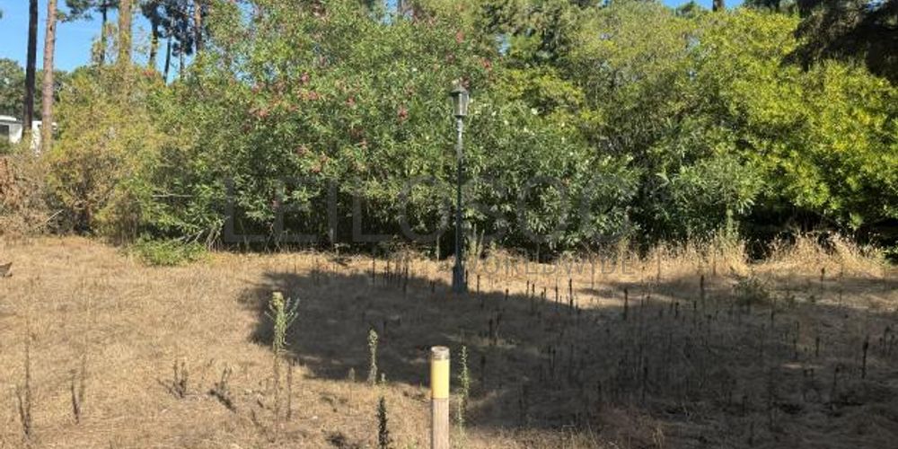 Moradia V5 com Piscina · Herdade da Aroeira, Charneca de Caparica 11