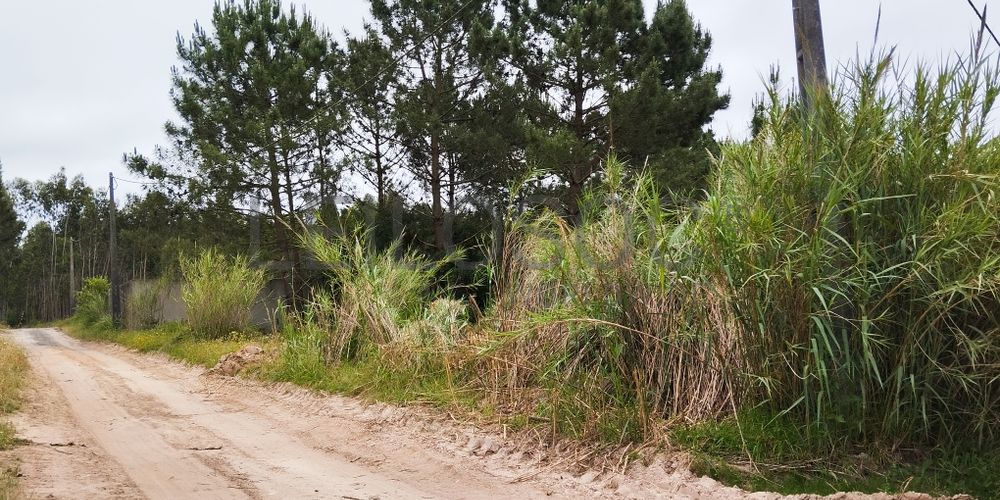 Lote de Terreno para Construção · Gaeiras, Óbidos 3