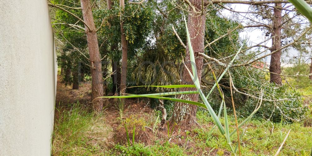 Lote de Terreno para Construção · Gaeiras, Óbidos 4