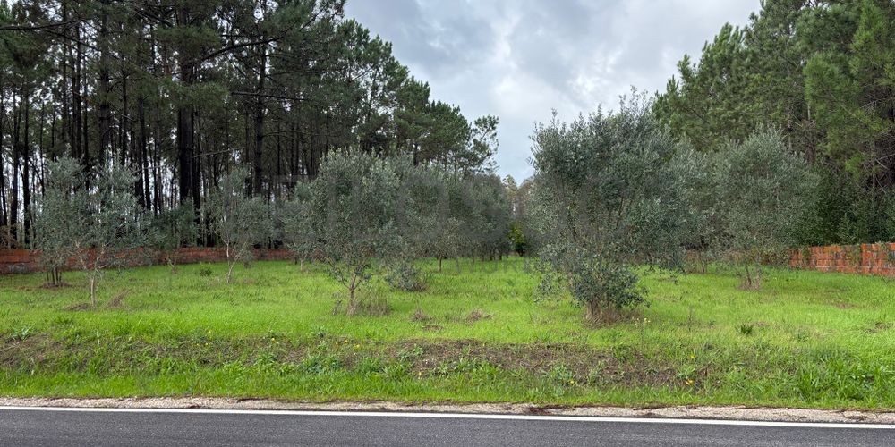 Terreno para Construção · Carriço, Pombal 2