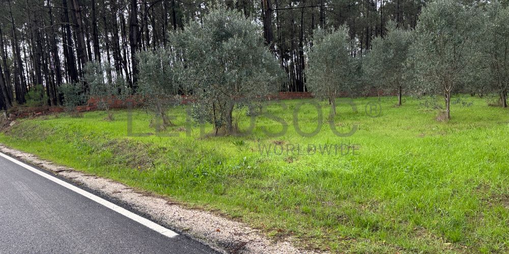 Terreno para Construção · Carriço, Pombal