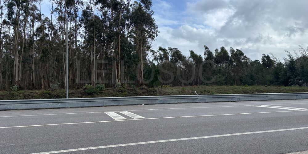 Terrenos Rústicos · Louriçal, Pombal 3