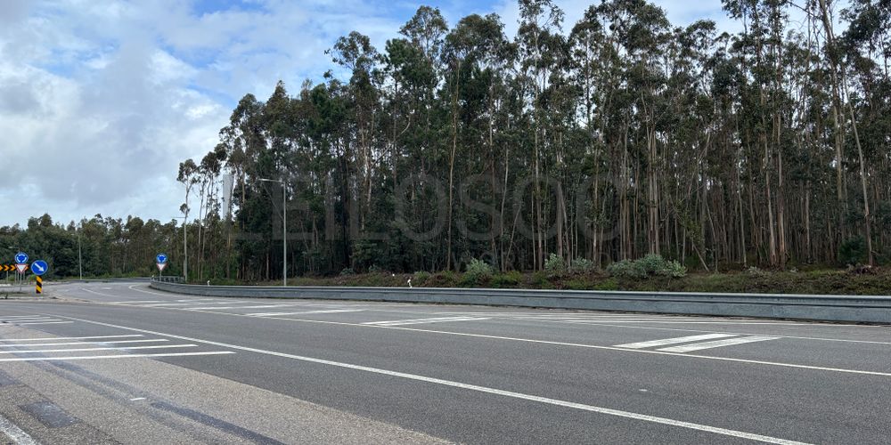 Terrenos Rústicos · Louriçal, Pombal 5