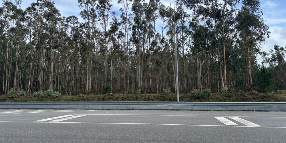 Terrenos Rústicos · Louriçal, Pombal 2