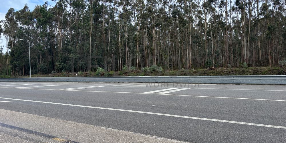 Terrenos Rústicos · Louriçal, Pombal