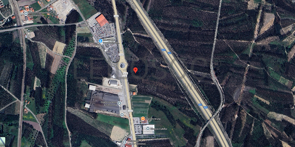 Terrenos Rústicos · Louriçal, Pombal 6