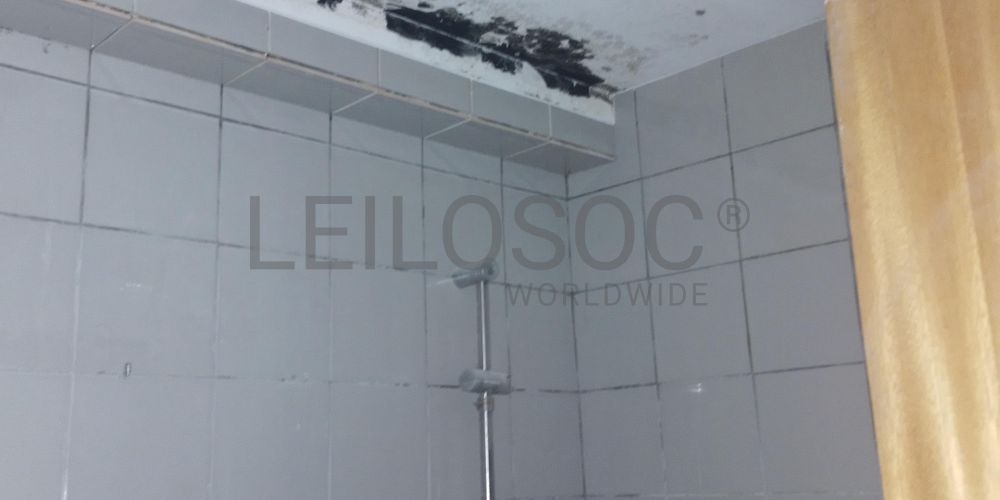 Apartamento T2 · Braga 31