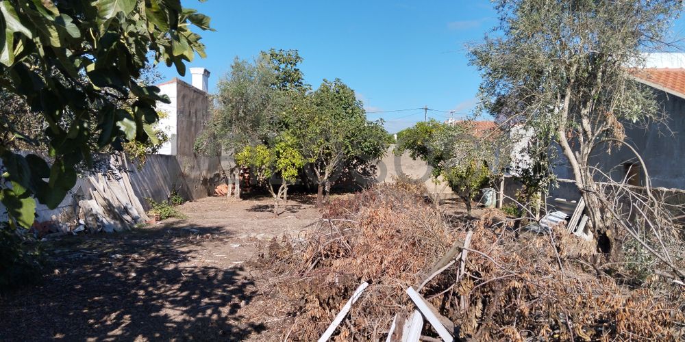 Quinhão Hereditário · Évora 4