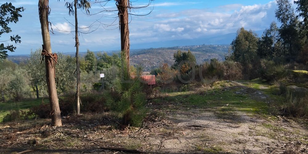 Terreno com 1.300 m² · Travanca de Lagos, Oliveira do Hospital