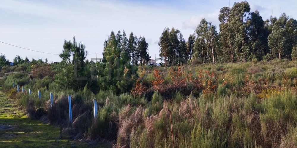 Terreno com 450 m² · Travanca de Lagos, Oliveira do Hospital 3