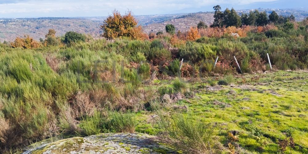 Terreno com 450 m² · Travanca de Lagos, Oliveira do Hospital