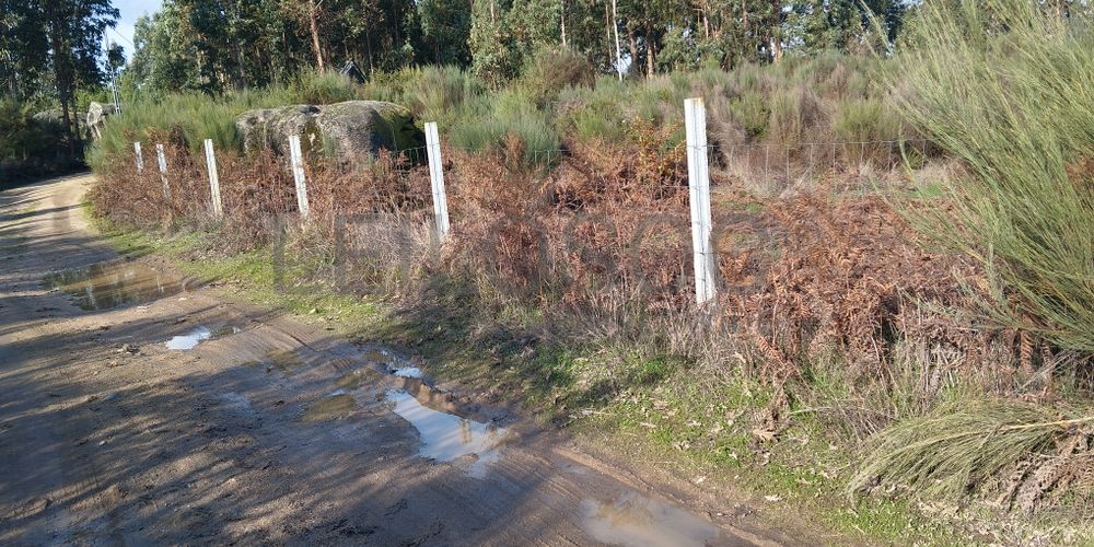 Terreno com 1.000 m² · Travanca de Lagos, Oliveira do Hospital 4