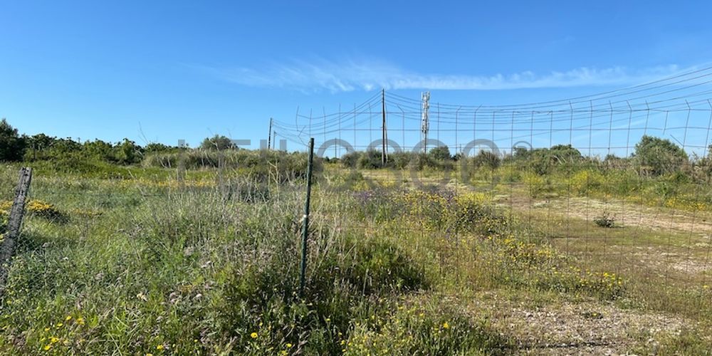 Terreno para Construção +1,5 hectares · Sintra 7