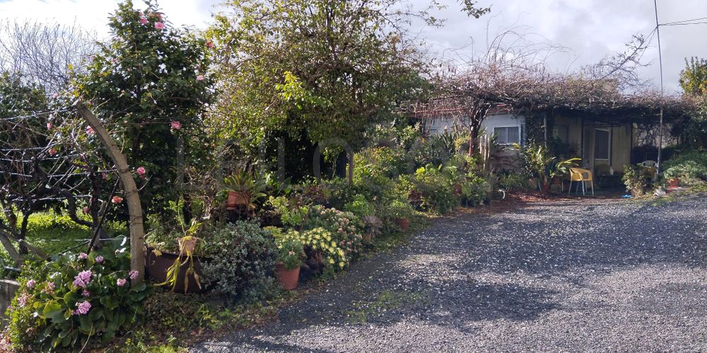 Moradia · Cardigos, Mação 2