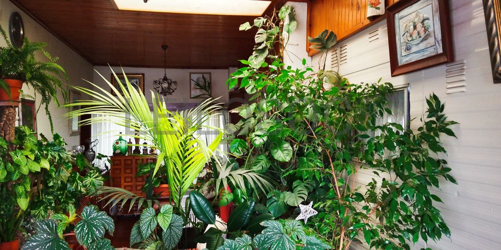 Moradia · Cardigos, Mação 7