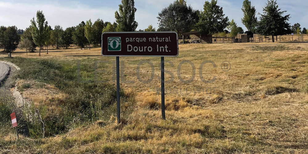 Lote para Construção · Mogadouro, Parque Natural do Douro Internacional  8