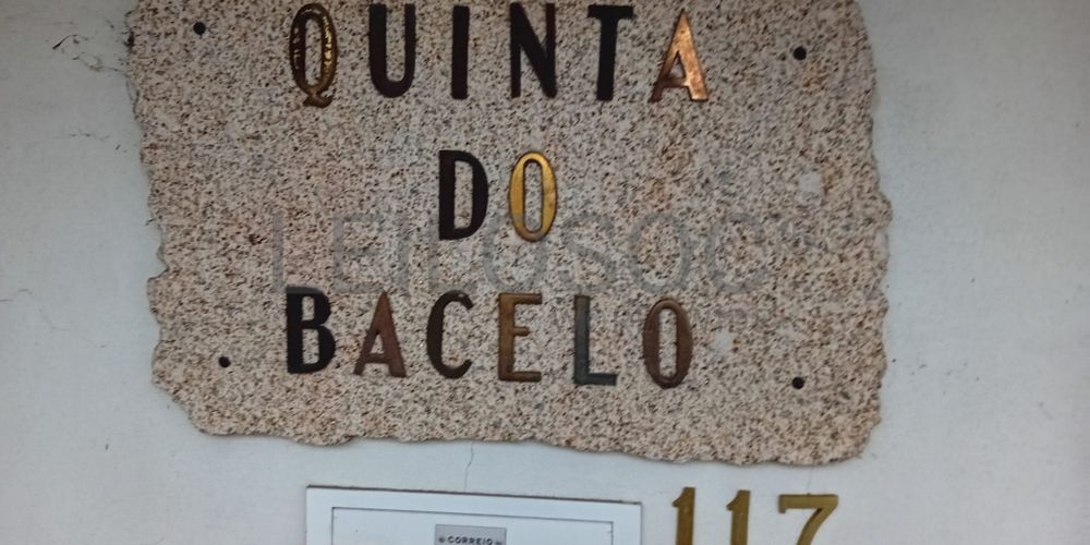Quinta · Termas de São Vicente, Penafiel  2