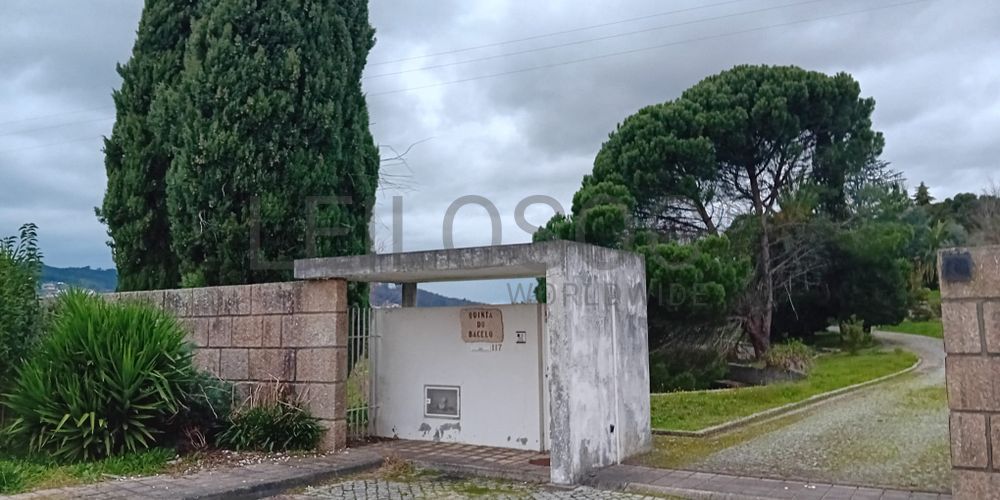 Quinta · Termas de São Vicente, Penafiel  4