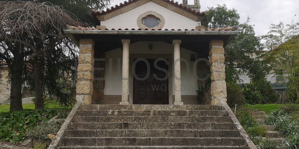 Quinta · Termas de São Vicente, Penafiel  61