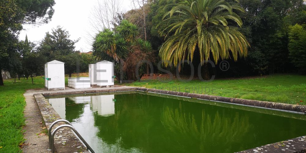 Quinta · Termas de São Vicente, Penafiel  8