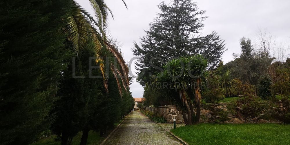 Quinta · Termas de São Vicente, Penafiel  6