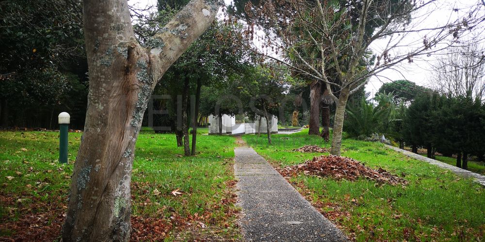 Quinta · Termas de São Vicente, Penafiel  72