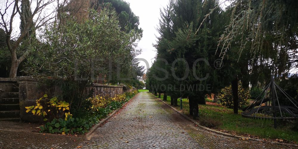Quinta · Termas de São Vicente, Penafiel  12