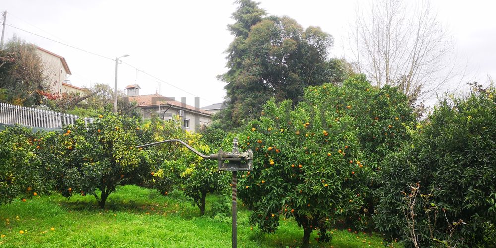 Quinta · Termas de São Vicente, Penafiel  73