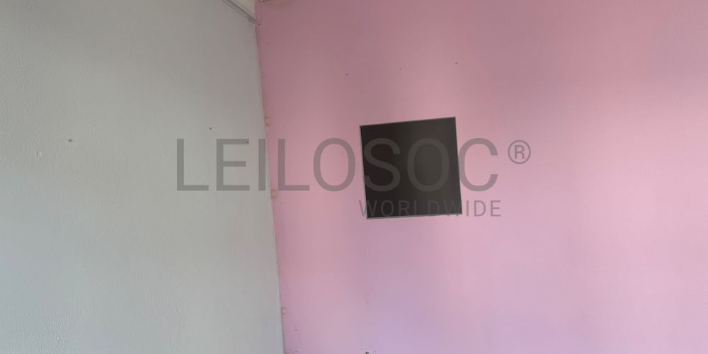 Edifício · Darque, Viana do Castelo 41