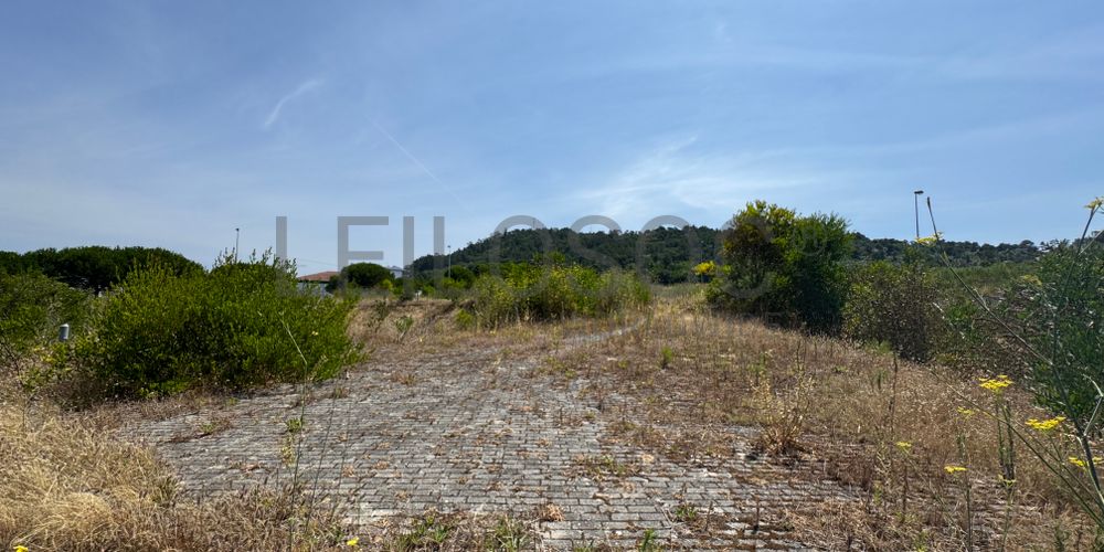 Proporção de 1/4 de Terrenos para Construção · Darque, Viana do Castelo 8