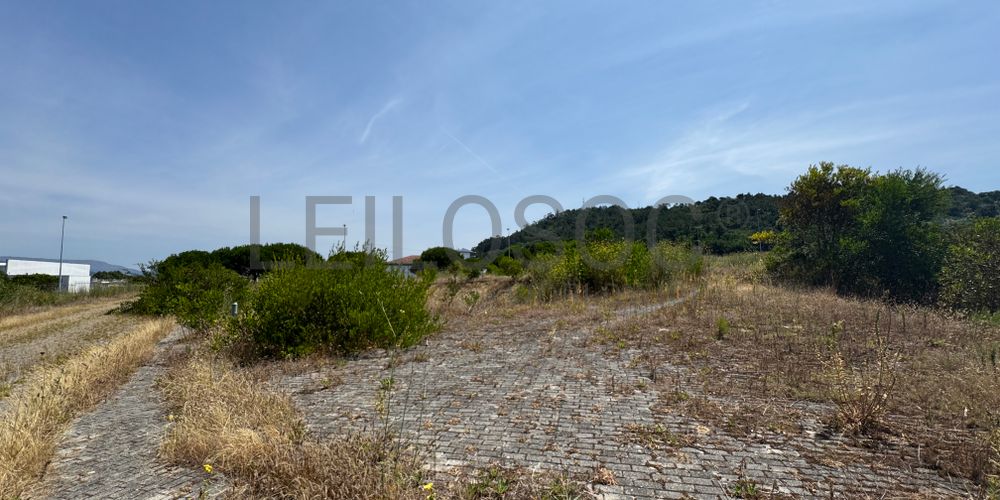 Proporção de 1/4 de Terrenos para Construção · Darque, Viana do Castelo