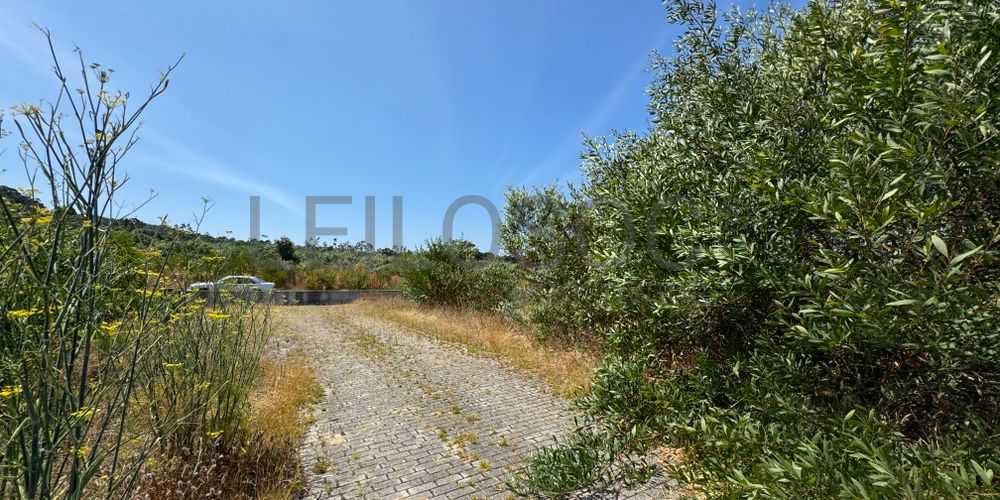 Proporção de 1/4 de Terrenos para Construção · Darque, Viana do Castelo 9