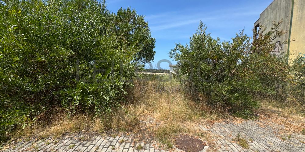 Proporção de 1/4 de Terrenos para Construção · Darque, Viana do Castelo 10