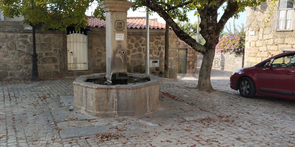 Moradia em Ruína · Travanca de Lagos, Oliveira do Hospital 8