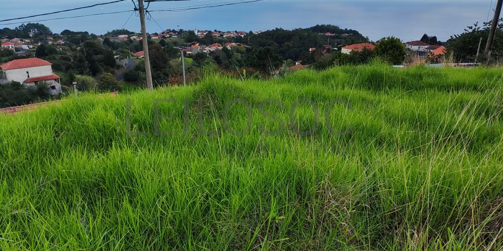 Direito à Meação de Terreno com 3.300 m² · Gaula, Santa Cruz