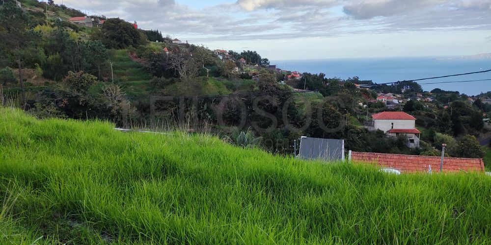 Direito à Meação de Terreno com 3.300 m² · Gaula, Santa Cruz 2