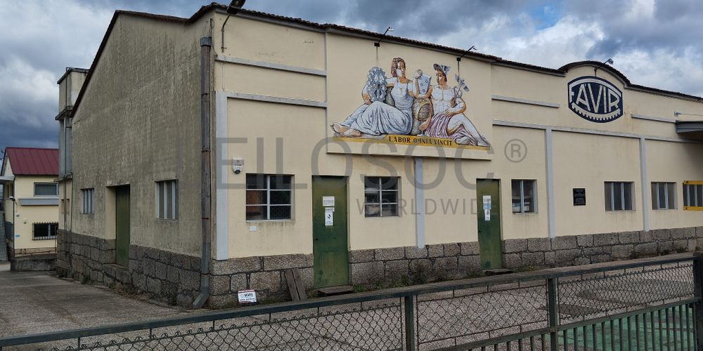 Armazém Industrial · Vimieiro, Santa Comba Dão 2