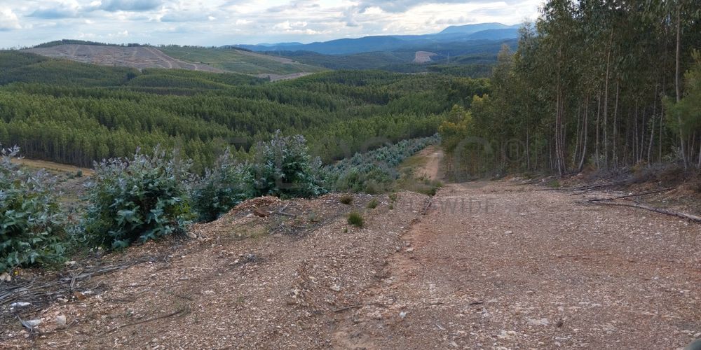 Proporção de 1/3 de Terreno · São Vicente da Beira, Castelo Branco 6