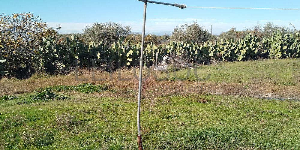 Moradia + Terrenos · Ladoeiro, Idanha-a-Nova 36