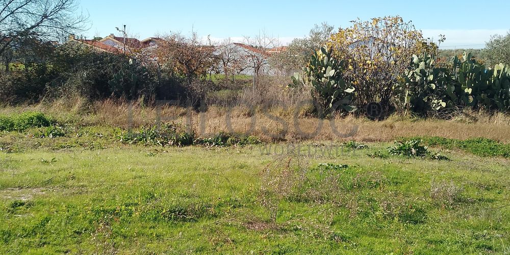 Moradia + Terrenos · Ladoeiro, Idanha-a-Nova 34