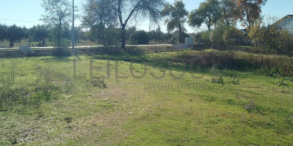 Moradia + Terrenos · Ladoeiro, Idanha-a-Nova 35