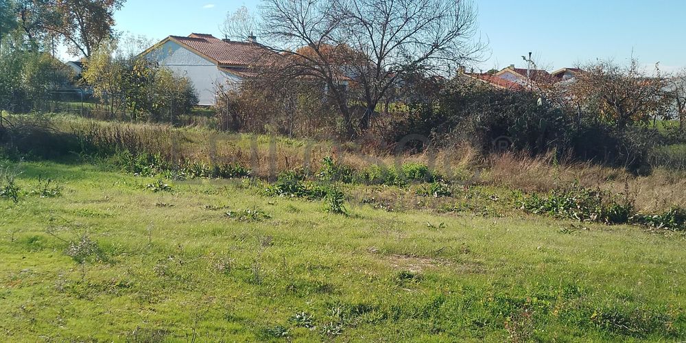 Moradia + Terrenos · Ladoeiro, Idanha-a-Nova 37